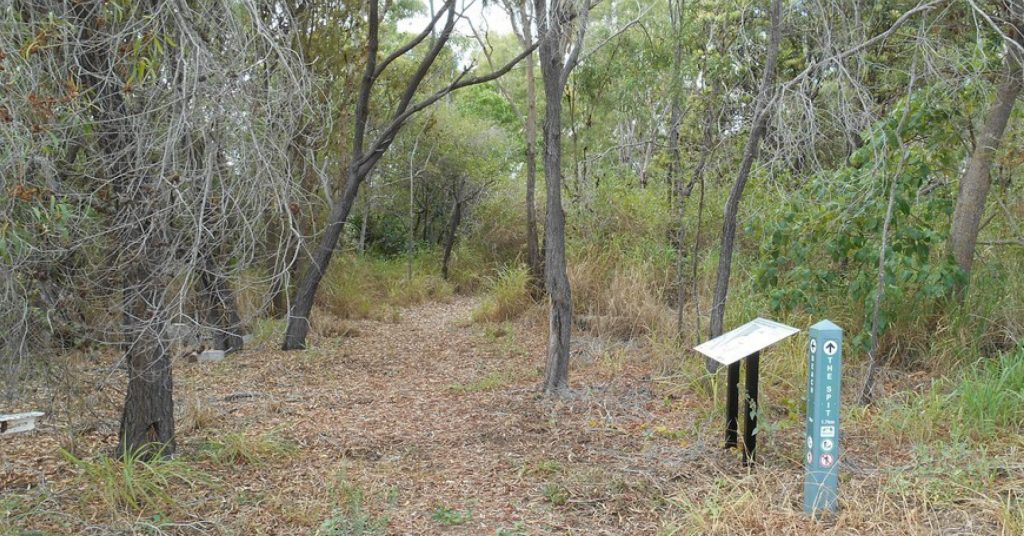 Spit Corella Way 2016 for project profile 1200x628