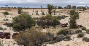 PXL_20210313_051022188