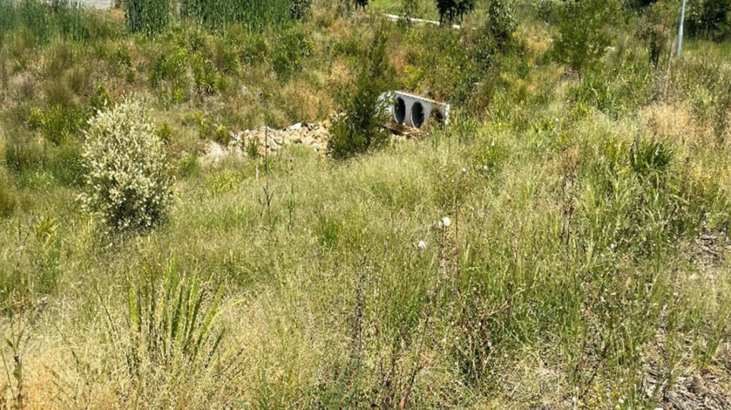 Dora Creek Reveg monitoring monitoring of creek line following weed management and tree planting